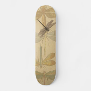 Dragonfly  Antiek Klassieke tekening Skateboard