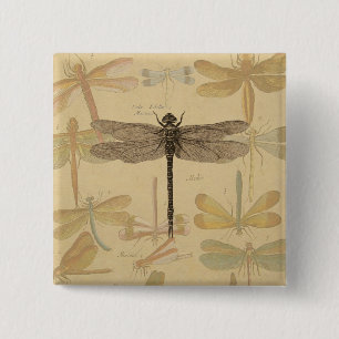Dragonfly Antiek Klassieke tekening Vierkante Button 5,1 Cm