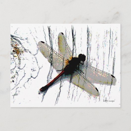 Dragonfly Art Briefkaart (Voorkant)