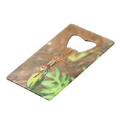 Dragonfly Artistique Reposant Sur Une Tête De Fleu (Dos Angle)