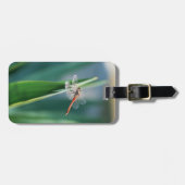 Dragonfly Bagagelabel (Voorkant horizontaal)