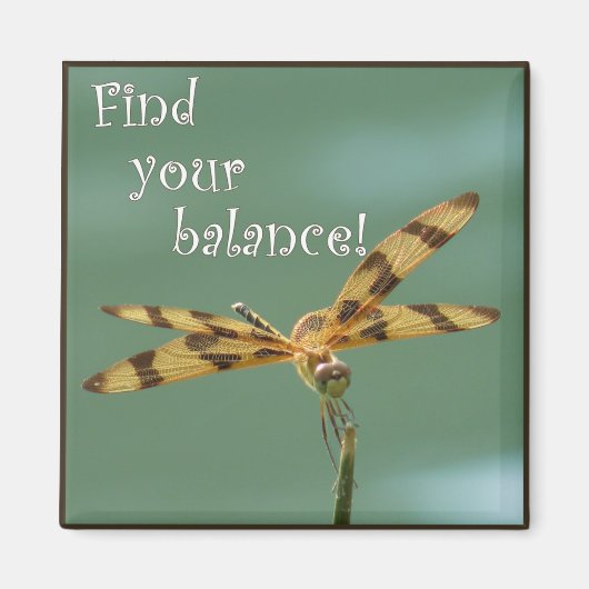 Dragonfly Balansmagneet Magneet (Voorkant)