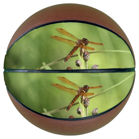 Dragonfly Basketbal (Voorkant)