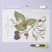 Dragonfly Blackberry Ladybug Franse Craft Tissuepapier (Craft)
