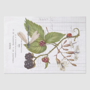 Dragonfly Blackberry Ladybug Franse  Craft Tissuepapier