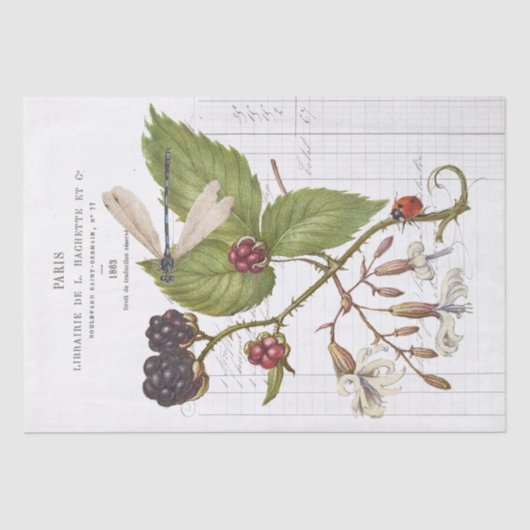 Dragonfly Blackberry Ladybug Franse Craft Tissuepapier (Voorkant)