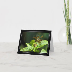 Dragonfly Blank Note Card Kaart