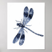 dragonfly - blauw poster (Voorkant)