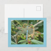 Dragonfly Blue Emperor met Border DIY Briefkaart (Voorkant / Achterkant)