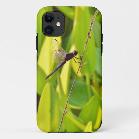 Dragonfly Blue en zwart op gras. Case-Mate iPhone Case (Achterkant)