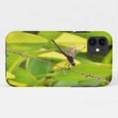 Dragonfly Blue en zwart op gras. Case-Mate iPhone Case (Achterkant (horizontaal))