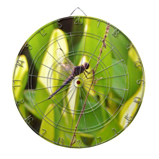 Dragonfly Blue en zwart op gras. Dartbord (Voorkant)