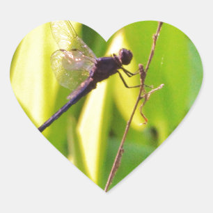 Dragonfly Blue en zwart op gras. Hart Sticker