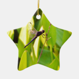 Dragonfly Blue en zwart op gras. Keramisch Ornament