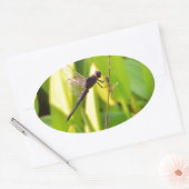 Dragonfly Blue en zwart op gras. Ovale Sticker (Envelop)