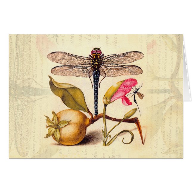 Dragonfly Botanische Natuur Wildleven (Voorkant Horizontaal)