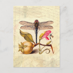 Dragonfly Botanische Natuur Wildleven Briefkaart