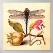 Dragonfly Botanische Natuur Wildleven Poster (Voorkant)