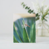 Dragonfly Briefkaart (Staand voorkant)
