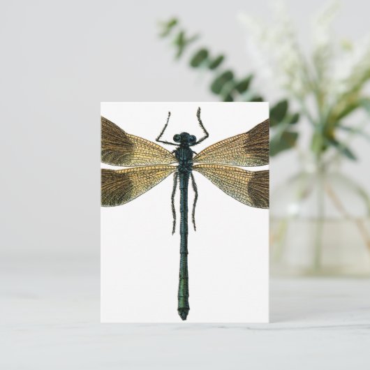 dragonfly briefkaart (Staand voorkant)