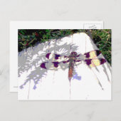 Dragonfly Briefkaart (Voorkant / Achterkant)