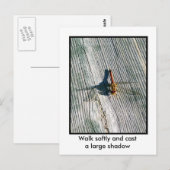 Dragonfly Briefkaart (Voorkant / Achterkant)