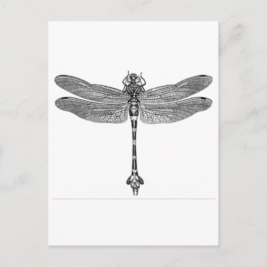 Dragonfly Briefkaart (Voorkant)