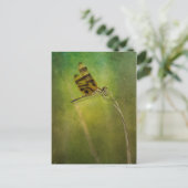 Dragonfly Briefkaart (Staand voorkant)