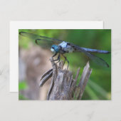 Dragonfly Briefkaart (Voorkant / Achterkant)