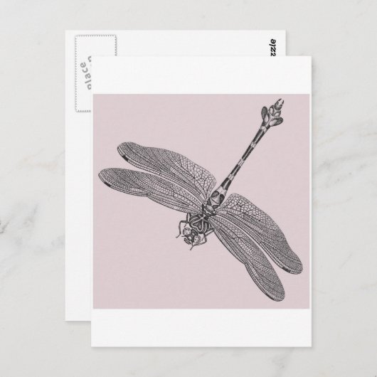 Dragonfly Briefkaart (Voorkant / Achterkant)