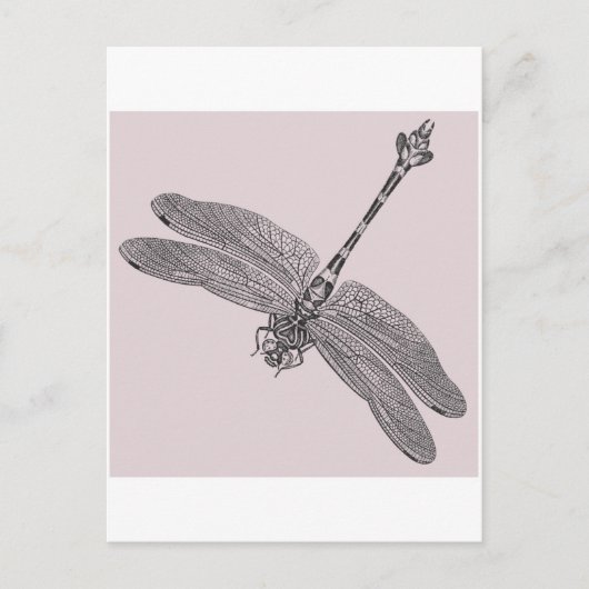 Dragonfly Briefkaart (Voorkant)