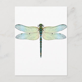 DragonFly Briefkaart