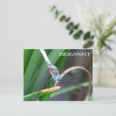 Dragonfly Briefkaart (Staand voorkant)
