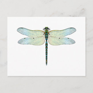 DragonFly Briefkaart