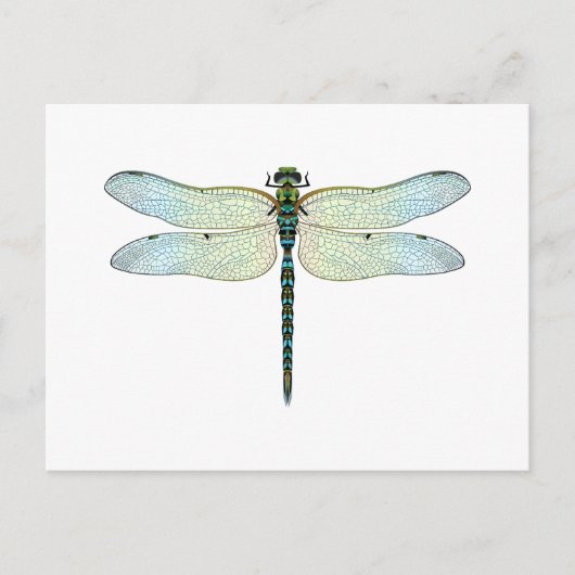 DragonFly Briefkaart (Voorkant)