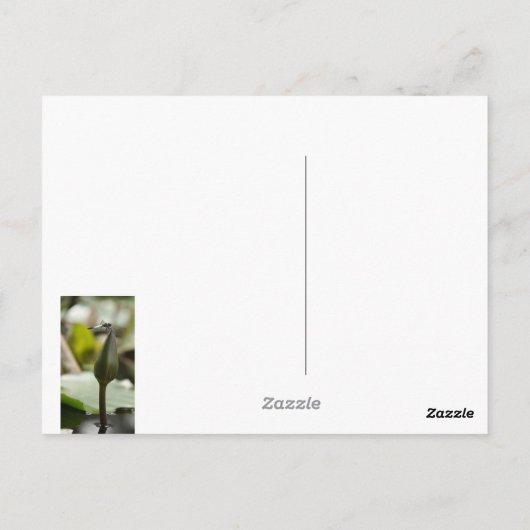 Dragonfly-Briefkaart Briefkaart (Achterkant)