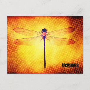 Dragonfly-Briefkaart Briefkaart
