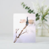 Dragonfly-Briefkaart Briefkaart (Staand voorkant)