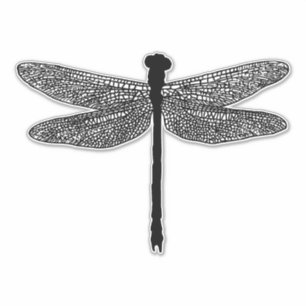dragonfly Bug Insecte natuur wild Silhouette Sticker