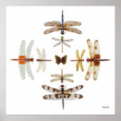 Dragonfly Bullseye grafische kaart Poster (Voorkant)