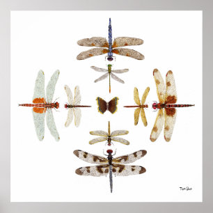 Dragonfly Bullseye grafische kaart Poster