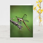 Dragonfly, carte (Fleur jaune)
