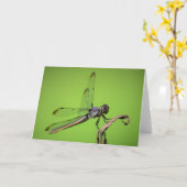 Dragonfly, carte (Fleur jaune)
