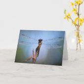 Dragonfly, carte (Fleur jaune)