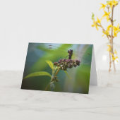 Dragonfly, carte (Fleur jaune)
