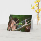 Dragonfly, carte (Fleur jaune)