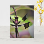 Dragonfly, carte (Fleur jaune)