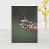 Dragonfly, carte (Fleur jaune)