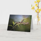 Dragonfly, carte (Fleur jaune)