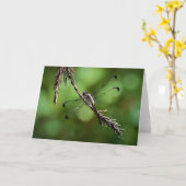 Dragonfly, carte (Fleur jaune)
